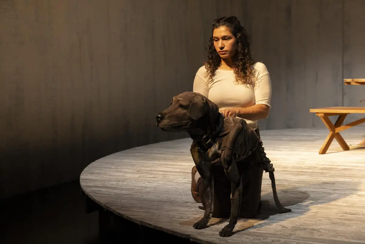 The Weekend stage production review • Good Reading